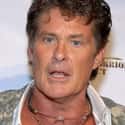 David Michael Hasselhoff, nicknamed "The Hoff", is an American actor, singer, producer, and businessman.