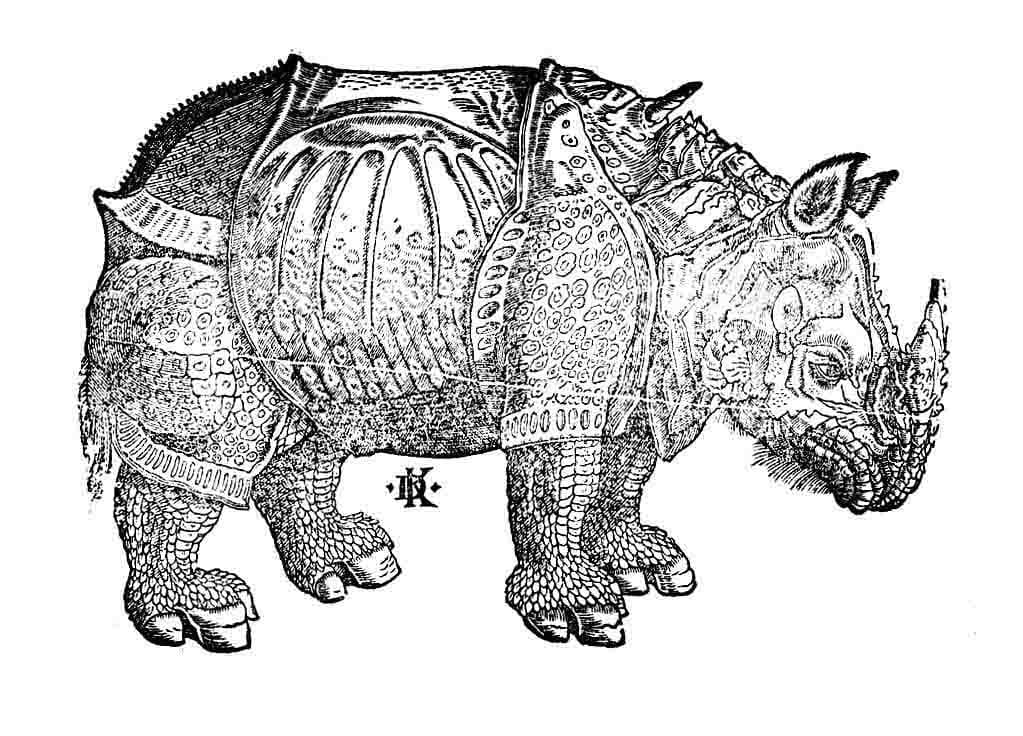 Носорог картина дюрера