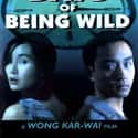 1990   Days of Being Wild is a 1990 Hong Kong film directed by Wong Kar-wai.