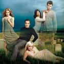 Ellen Muth, Callum Blue, Jasmine Guy   This show is an American comedy-drama television series starring Ellen Muth and Mandy Patinkin as grim reapers who reside and work in Seattle, Washington.