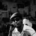 I Wish My Brother George Was Here, No Need for Alarm, Both Sides of the Brain   Teren Delvon Jones, better known as Del the Funky Homosapien or Del tha Funkee Homosapien or Sir Dzl, is an American underground hip hop MC.