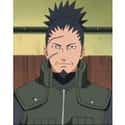 Shikaku Nara on Random Best Naruto Characters
