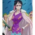 Tashigi on Random Best Anime Girls Who Wear Glasses