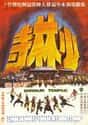Shaolin Temple on Random Best Kung Fu Movies of 1970s