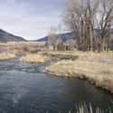 DePuy Spring Creek on Random Best U.S. Rivers for Fly Fishing