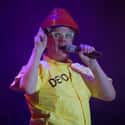 Devo on Random Best Punk Bands