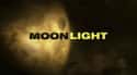 Moonlight on Random Best Crime Fighting Duo TV Series