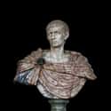 Dec. at 69 (244-313)   Diocletian was a Roman emperor from 284 to 305.