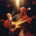 Dixie Dregs on Random Best Jazz Fusion Bands/Artists
