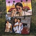 1991   Doc Hollywood is a 1991 romantic comedy film directed by Michael Caton-Jones, and written by Jeffrey Price and Peter S. Seaman. The film stars Michael J.
