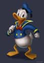 Donald Duck on Random Kingdom Hearts Characters