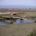 Don Edwards San Francisco Bay National Wildlife Refuge on Random Things To Do With Kids In California's East Bay