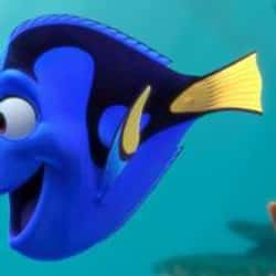 Dory