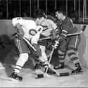 Doug Harvey on Random Greatest Montreal Canadiens