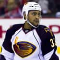Defenseman, Forward   Dustin Ray Byfuglien is an American professional ice hockey player for the Winnipeg Jets of the National Hockey League.
