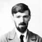 Dh lawrence gay