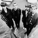 New Wave, Neo-psychedelia, Alternative rock   Echo & the Bunnymen are an English rock band formed in Liverpool in 1978.