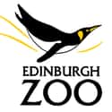 Edinburgh Zoo on Random Top Must-See Attractions in Scotland