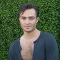 age 31   Edward "Ed" Westwick is an English actor, musician and model, known for his role as Chuck Bass on The CW's teen drama series Gossip Girl.