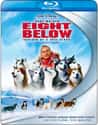 Eight Below on Random Best Live Action Animal Movies for Kids