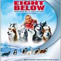 Eight Below on Random Best Live Action Animal Movies for Kids