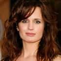 Michigan, USA, Bloomfield Township   Elizabeth Ann Reaser is an American film, television, and stage actress.