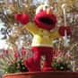 Sesame Street, Cinderelmo, The Adventures of Elmo in Grouchland