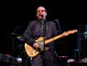 Elvis Costello on Random Big-Name Celebs Have Been Hiding Their Real Names