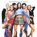 Liv Tyler, Renée Zellweger, Tobey Maguire   Empire Records is a 1995 American coming-of-age film that follows a group of record store employees over the course of one exceptional day.