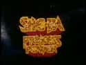 She-Ra: Princess of Power on Random Most Unforgettable '80s Cartoons