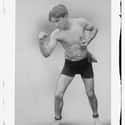 Lightweight   Adolphus Wolgast, nicknamed Michigan Wildcat, was a world lightweight boxing champion.