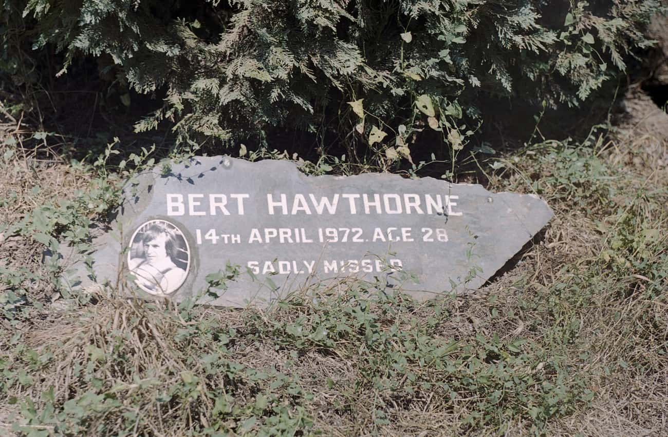 Bert Hawthorne