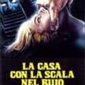 Michele Soavi, Andrea Occhipinti, Valeria Cavalli   A Blade in the Dark is a 1983 Italian giallo film directed by Lamberto Bava.
