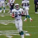 Hunter Goodwin on Random Best Miami Dolphins Tight Ends