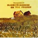 Slaughterhouse on the Prairie on Random Best Buckethead Albums