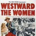 1951   Westward the Women is a 1951 western film directed by William A.