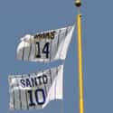 Ernie Banks is listed (or ranked) 15 on the list The Best MLB Players To Have Their Numbers Retired