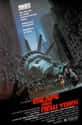 Escape from New York on Random Best Dystopian And Near Future Movies