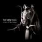 Given to the Rising is listed (or ranked) 12 on the list Famous Albums Produced by Steve Albini