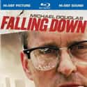 Falling Down on Random Best Thriller Movies of 1990s