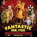 George Clooney, Meryl Streep, Bill Murray   Fantastic Mr. Fox is a 2009 American stop-motion animated comedy film based on the Roald Dahl children's novel of the same name.