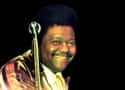 Fats Domino on Random Best Bands Named After Body Parts