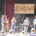 Infamous Stringdusters on Random Best Progressive Bluegrass Bands/Artists