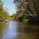 Pere Marquette River on Random Best U.S. Rivers for Fly Fishing