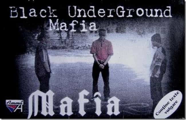 nwa discography download torrent pirate