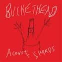 Acoustic Shards on Random Best Buckethead Albums