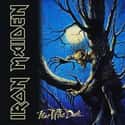 Fear of the Dark on Random Iron Maiden Albums