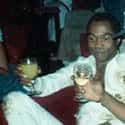 Highlife, Afrobeat   Fela Kuti, also known as Fela Anikulapo Kuti or simply Fela, was a Nigerian multi-instrumentalist, musician, composer, pioneer of the Afrobeat music genre, human rights activist, and political...
