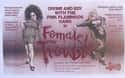 Female Trouble on Random Best Exploitation Movies of 1970s
