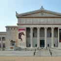 Field Museum of Natural History on Random Best Museums in the United States